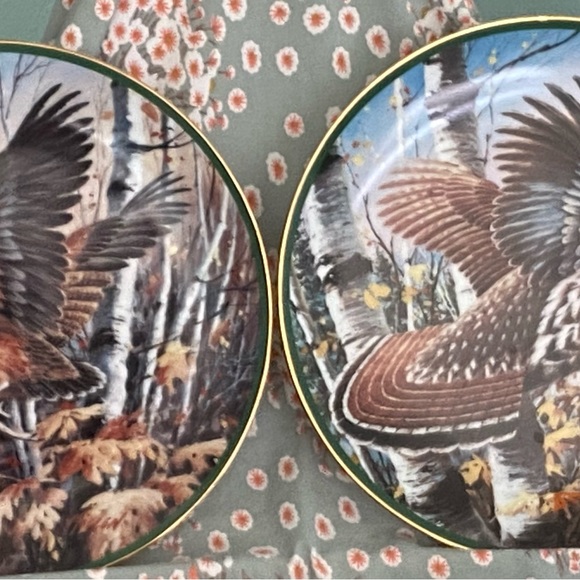 *SALE- PAIR of 9” numberedHamilton Collection Pheasant Plates, Beautiful! - Picture 7 of 7